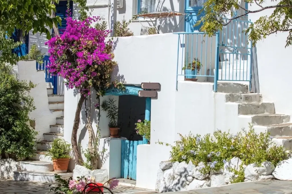 Traditional basement door in Tinos leading to a former katoi, a space once used for storage or donkey shelter and now often converted into modern living areas.