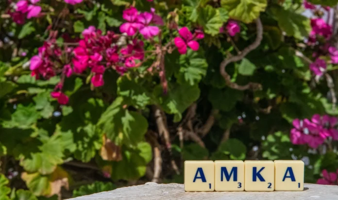 A conceptual photograph focusing on the Greek letters ΑΜΚΑ (Social Security Number) rendered in a minimalist white scramble. In the softly blurred background, vibrant pink bougainvillea flowers provide natural color and context.