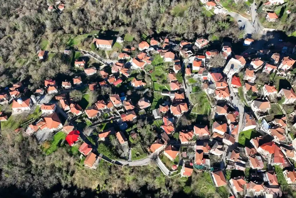 A bird's-eye view of Megalo Chorio village nestled in a dense fir forest on the slopes of Mount Kaliakouda.