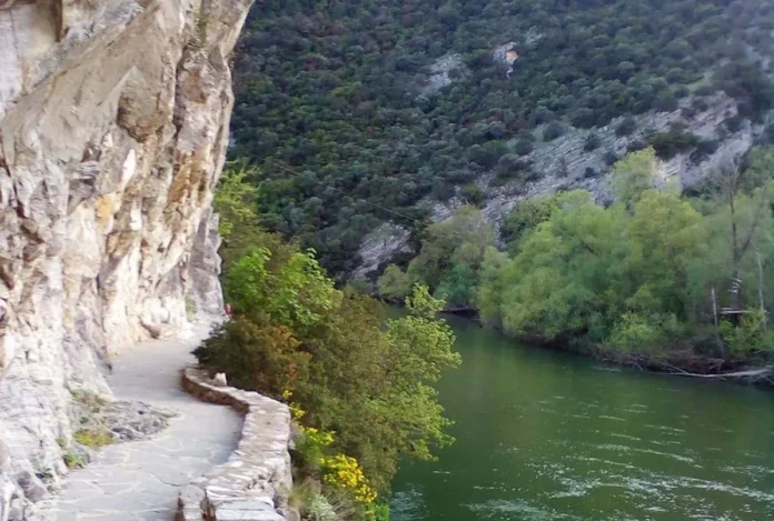 A wide, flat stone-paved hiking path running alongside the calm waters of the Nestos River, starting from Toxotes Village.