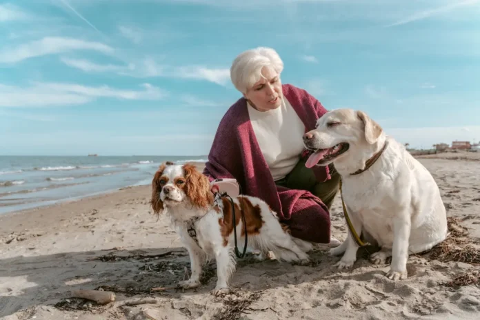 A woman holding the leashes of two dogs while standing on a sandy beach.