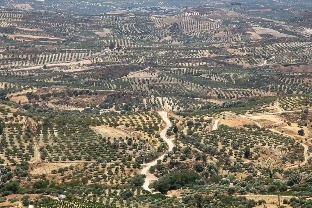 A rural plot of land in the Greek countryside, Crete, with narrow road providing legal access