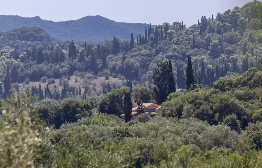 Traditional dark peach colored rooftop peeking through dense green pine, cypress, and olive trees in rural Corfu.